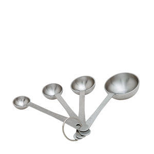 Focus Products Group 528 Measuring Spoon Set (1 EACH)