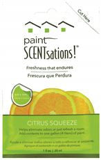 PAINT SCENTSATIONS 106-01 PAINT FRAGRANCE ADDITIVE, CITRUS SQUEEZE, 1 0Z PACKET (12 PER CASE)