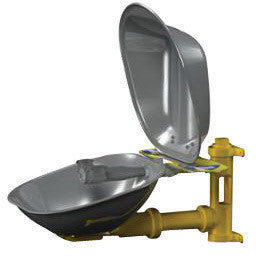 Bradley S19224DC Wall Mounted Eye Wash Station With Stainless Steel Bowl And Dust Cover (1/EA)