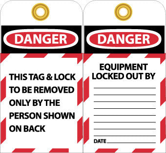 NMC LOTAG1-25-SPECIAL TAG, LOTAG1 WITH GROMMETS PACKED IN PACKAGES OF 25, 6X3, UNRIP VINYL (PAK OF 25)