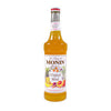 Monin Inc  M-AR077A  Tropical Blend Syrup (SET OF 12 PER CASE)