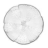 Libbey Glass  15506  Harmony Plate Salad 7 5/8'' (SET OF 36 PER CASE)