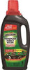 SPECTRUM HG-96400 SPECTRACIDE TRIAZICIDE INSECT KILLER, CONCENTRATE, 32 OZ. (1 PER CASE)