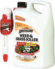 SPECTRUM HG-96370 SPECTRACIDE WEED & GRASS KILLER ACCUSHOT SPRAYER, 1.33 GALLON (1 PER CASE)