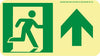 NMC 50F-1SN-F-NYC DIRECTIONAL SIGN, FORWARD, 4.5X8, FLEX, 7550 GLO BRITE, MEA APPROVED (1 EACH)