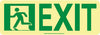 NMC 50F-2SN-L-NYC DOOR MOUNT EXIT SIGN, LEFT, 4.5X13, FLEX,  7550 GLO BRITE, MEA APPROVED (1 EACH)