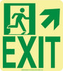 NMC 50F-6SN-UR-NYC WALL MOUNT EXIT SIGN, UP RIGHT, 9X8, FLEX, 7550 GLO BRITE, MEA APPROVED (1 EACH)