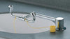 Bradley S19-270E Universal Mounted Swing Activated Eye Wash Fixture And Face Wash Fixture  (1/EA)