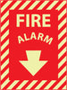 NMC GL11R-FIRE ALARM, 12X9, GLOW RIGID (1 EACH)