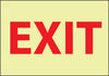 NMC GL12PB-EXIT, 10X14, PS GLOW VINYL (1 EACH)