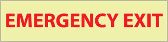 NMC GL19R-EMERGENCY EXIT, 3X12, GLOW RIGID (1 EACH)