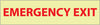 NMC GL19R-EMERGENCY EXIT, 3X12, GLOW RIGID (1 EACH)