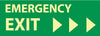 NMC GL302R-EMERGENCY EXIT (W/ RIGHT ARROW), 5X14, GLOW RIGID (1 EACH)