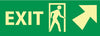 NMC GL312P-EXIT (W/ DOOR AND RIGHT UP ARROW), 5X14, PS GLOW (1 EACH)