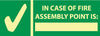 NMC GL315R-IN CASE OF FIRE ASSEMBLY POINT IS, 5X14, GLOW RIGID (1 EACH)