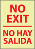 NMC GL64PC-NO EXIT (BILINGUAL), 20X14, PS GLOW (1 EACH)