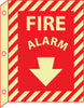 NMC GLTV18-FIRE, FIRE ALARM, 12X9, PLASTIC FLANGEDGLOW (1 EACH)