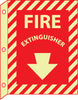 NMC GLTV20-FIRE, FIRE EXTINGUISHER, 12X9, PLASTIC FLANGEDGLOW (1 EACH)