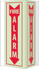 NMC GLV41-FIRE, VISI, FIRE ALARM, 16X8.75, ACRYLICGLOW (1 EACH)