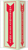 NMC GLV50-VISI, EMERGENCY EXIT ONLY, 16X8.75, ACRYLICGLOW (1 EACH)