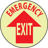 NMC GWFS25-FLOOR SIGN, WALK ON, EMERGENCY EXIT, 17 DIAGLOW (1 EACH)