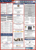 NMC LLP-AL-LABOR LAW POSTER, ALABAMA, 39X27 (1 EACH)