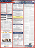 NMC LLP-CT-LABOR LAW POSTER, CONNECTICUT, 39X27 (1 EACH)