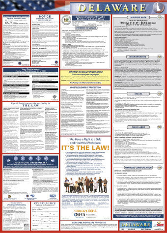 NMC LLP-DE-LABOR LAW POSTER, DELAWARE, 39X27 (1 EACH)