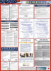 NMC LLP-FL-LABOR LAW POSTER, FLORIDA, 39X27 (1 EACH)