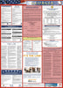 NMC LLP-GA-LABOR LAW POSTER, GEORGIA, 39X27 (1 EACH)
