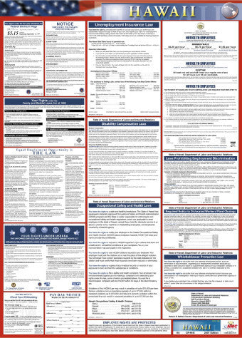 NMC LLP-HI-LABOR LAW POSTER, HAWAII, 39X27 (1 EACH)