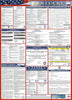 NMC LLP-KY-LABOR LAW POSTER, KENTUCKY, 39X27 (1 EACH)