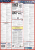 NMC LLP-MI-LABOR LAW POSTER, MICHIGAN, 39X27  COMBINATION OF TWO POSTERS (1 EACH)