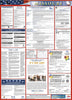 NMC LLP-MO-LABOR LAW POSTER, MISSOURI, 39X27 (1 EACH)