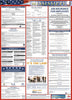 NMC LLP-MS-LABOR LAW POSTER, MISSISSIPPI, 39X27 (1 EACH)
