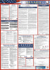 NMC LLP-NV-LABOR LAW POSTER, NEVADA, 39X27 (1 EACH)