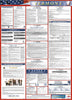 NMC LLP-VT-LABOR LAW POSTER, VERMONT, 39X27 (1 EACH)