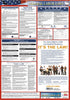 NMC LLPFS-LABOR LAW POSTER, FEDERAL (SPANISH),  27X19 (1 EACH)
