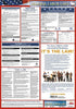 NMC LLPF-LABOR LAW POSTER, FEDERAL, 27X19 (1 EACH)