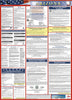 NMC LLPS-AZ-LABOR LAW POSTER, ARIZONA (SPANISH), 39X27 (1 EACH)