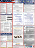 NMC LLPS-FL-LABOR LAW POSTER, FLORIDA (SPANISH), 39X27 (1 EACH)