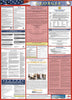 NMC LLPS-GA-LABOR LAW POSTER, GEORGIA (SPANISH), 39X27 (1 EACH)