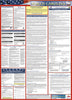 NMC LLPS-NC-LABOR LAW POSTER, NORTH CAROLINA (SPANISH), 39X27 (1 EACH)