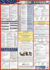 NMC LLPS-NY-LABOR LAW POSTER, NEW YORK (SPANISH), 39X27 (1 EACH)