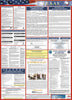 NMC LLPS-TX-LABOR LAW POSTER, TEXAS (SPANISH), 39X27