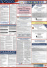 NMC LLPS-MN-LABOR LAW POSTER, MINNESOTA (SPANISH), 39X27 (1 EACH)