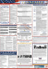 NMC LLPS-TN-LABOR LAW POSTER, TENNESSEE, SPANISH (1 EACH)