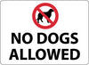 NMC M107RC-NO DOGS ALLOWED, GRAPHIC, 14X20, RIGID PLASTIC (1 EACH)