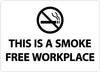 NMC M761RB-(GRAPHIC) THIS IS A SMOKE FREE WORKPLACE, 10X14, RIGID PLASTIC (1 EACH)