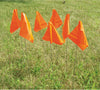 NMC MF21B-MARKING FLAGS, BLUE, 4''X5'', 21'' WIRE STAFF (PAK OF 1000)